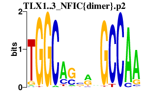 logo of TLX1..3_NFIC{dimer}.p2